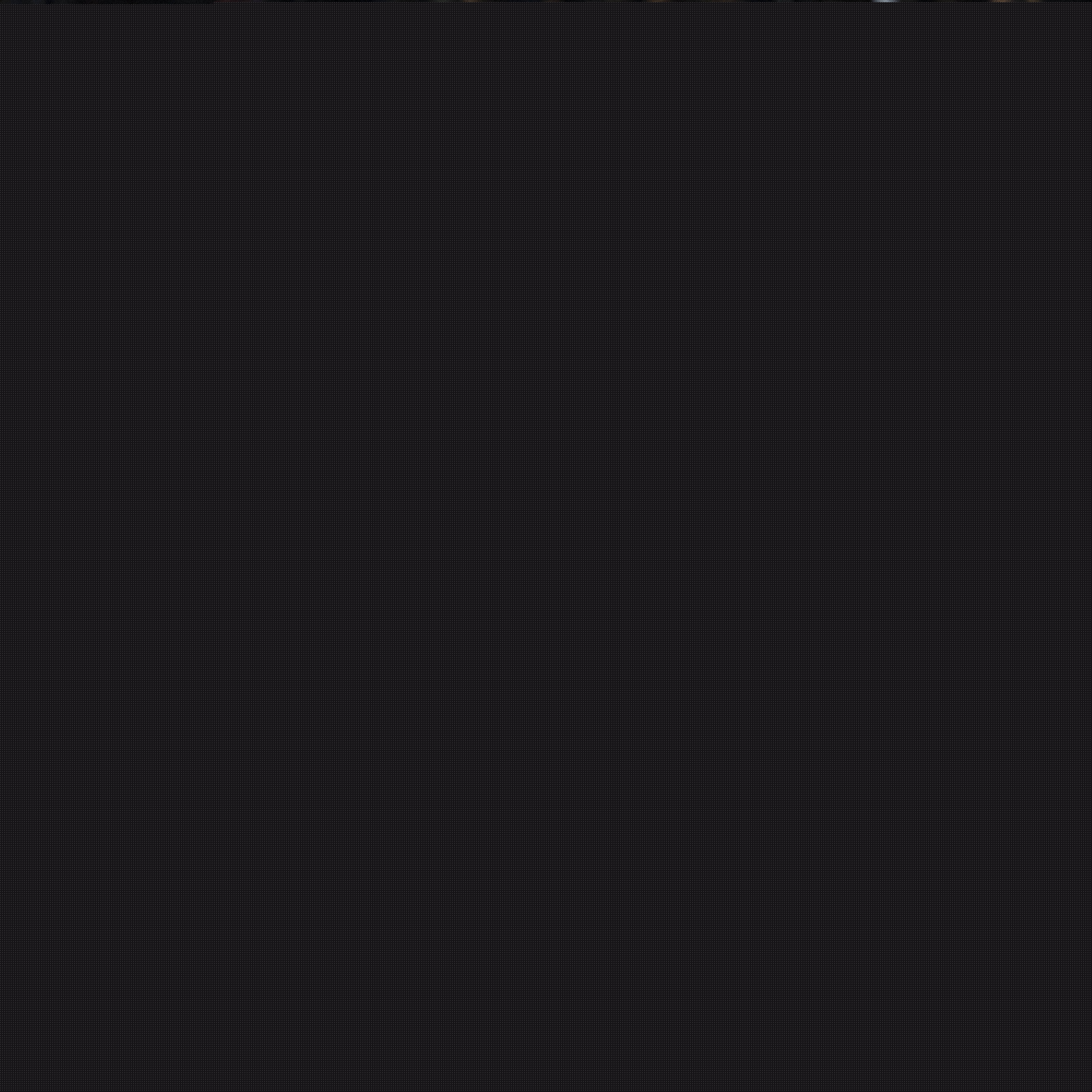 能与主教练